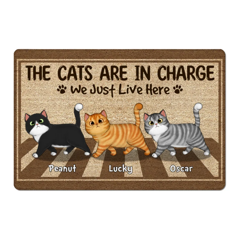 The Cats Are In Charge Walking Cross Personalized Doormat - Image 4