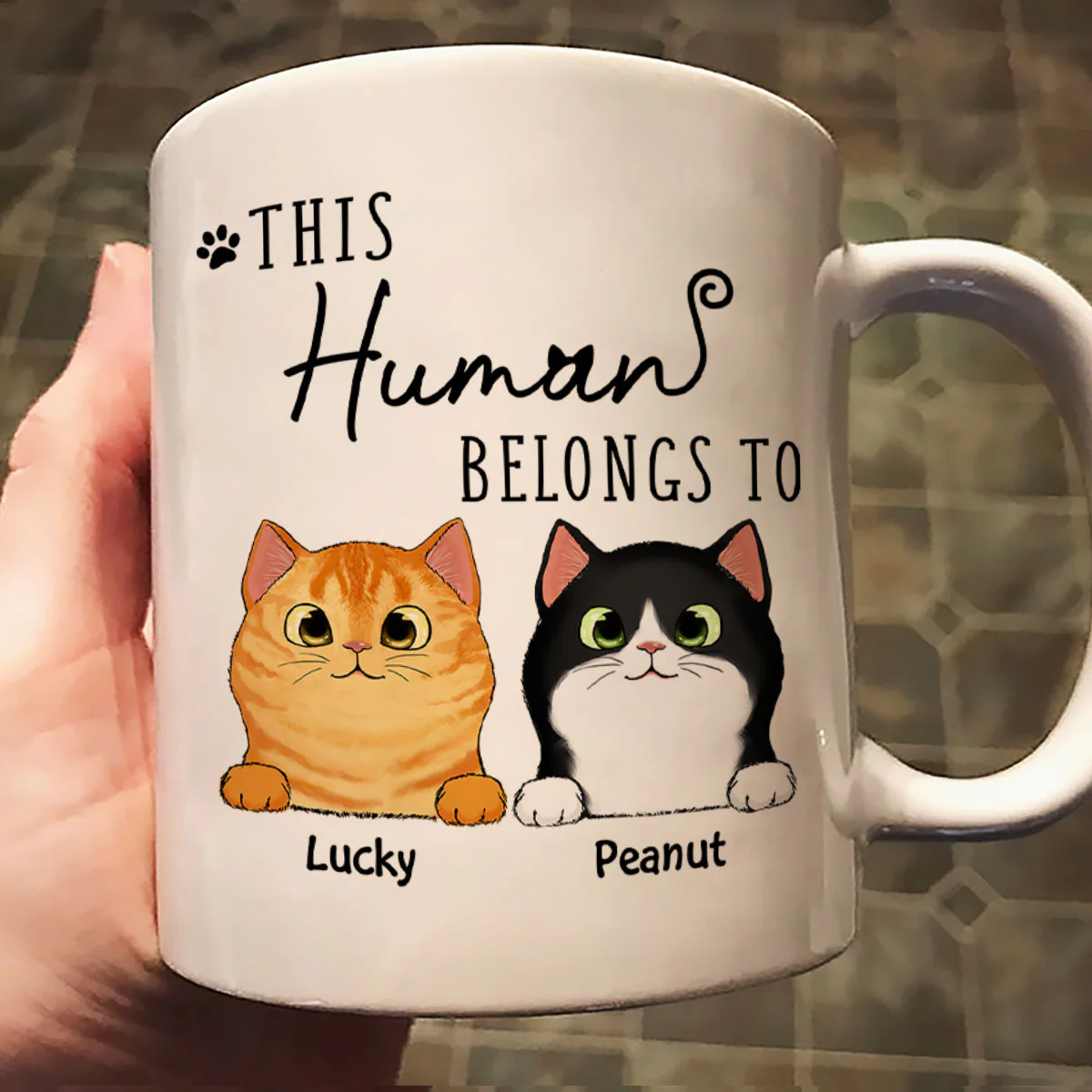 This Human Belongs To Fluffy Cats Personalized Mug - Image 2
