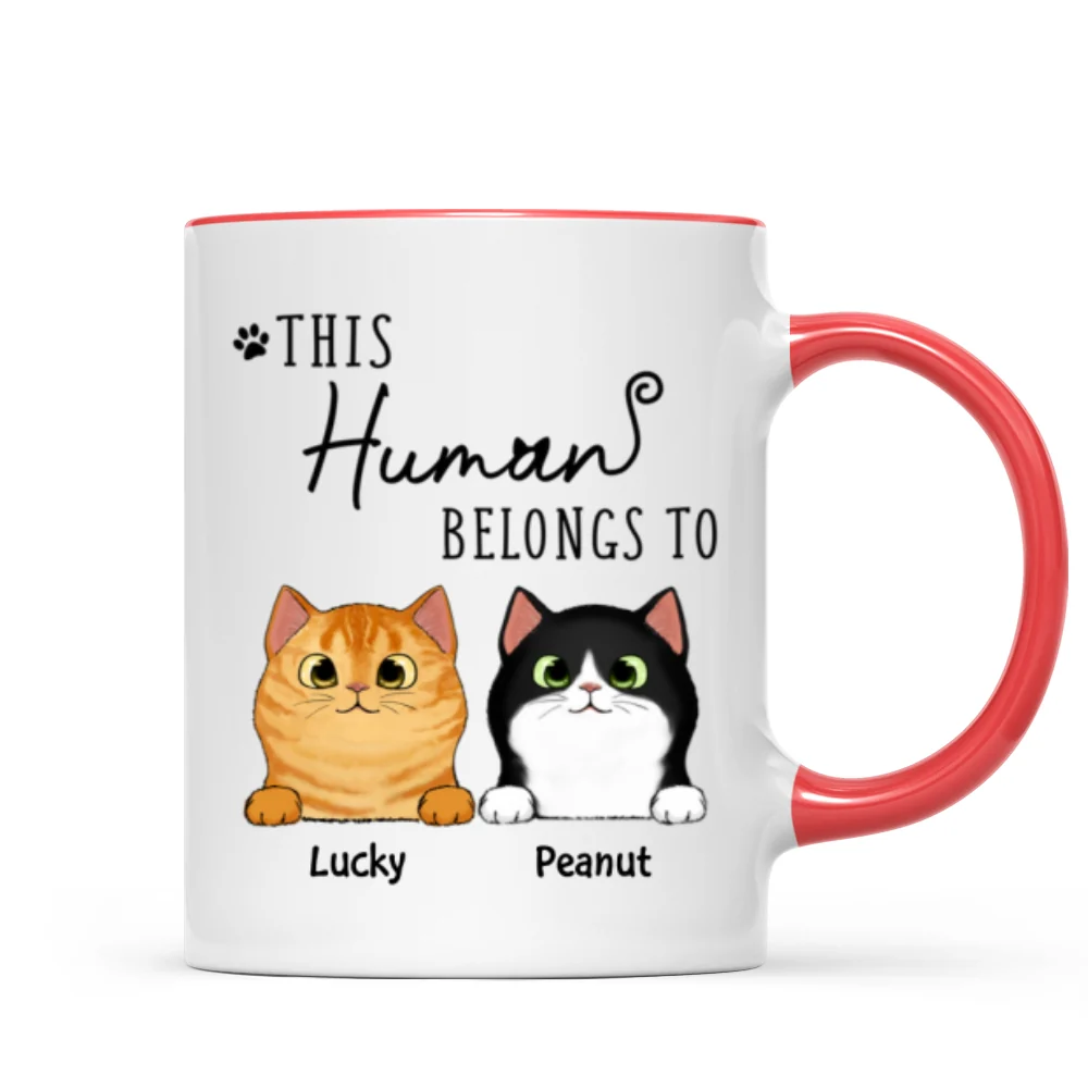 This Human Belongs To Fluffy Cats Personalized Mug - Image 7