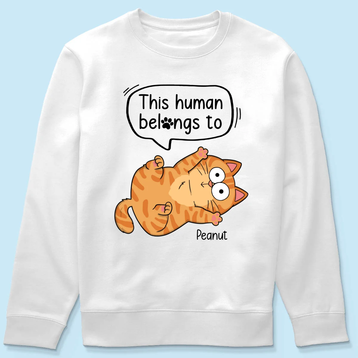 This Human Belongs To Naughty Cats Personalized Shirt - Image 19