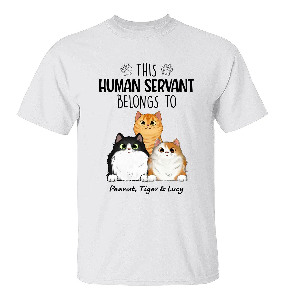 This Human Servants Belongs To Fluffy Cats Personalized Shirt