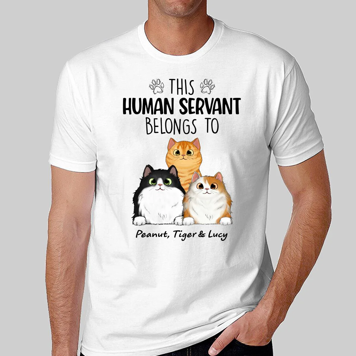 This Human Servants Belongs To Fluffy Cats Personalized Shirt - Image 2