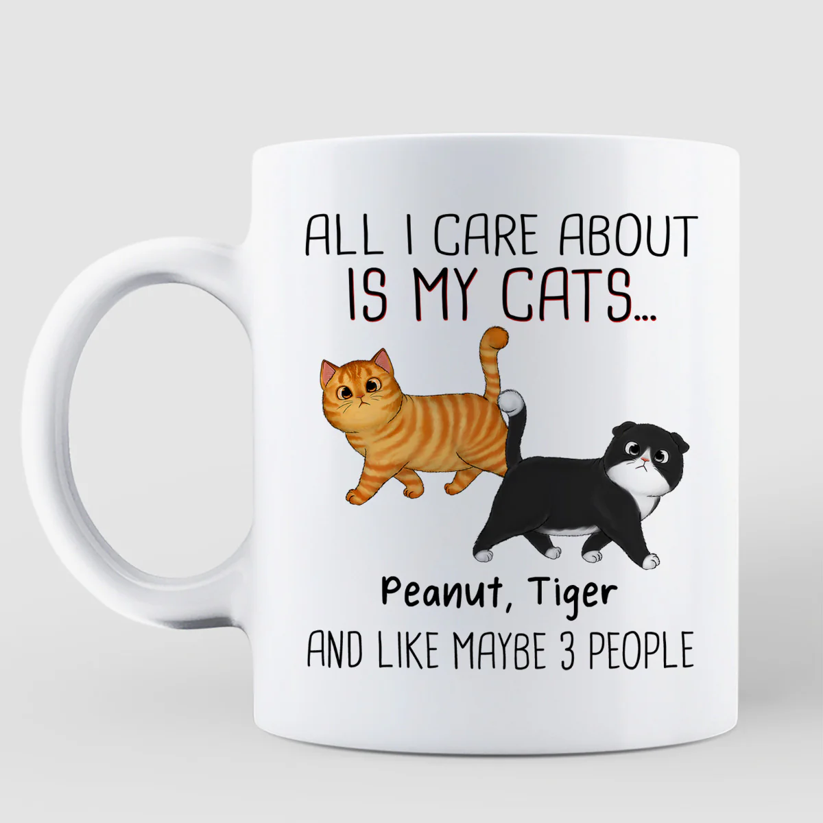 Walking Fluffy Cats Gift For Cat Lovers Personalized Mug