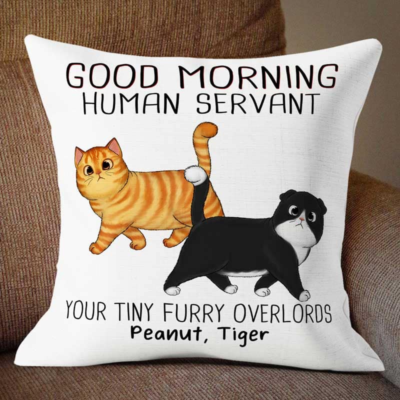 Walking Fluffy Cats Good Morning Cat Human Servant Personalized Pillow (Insert Included) - Image 3