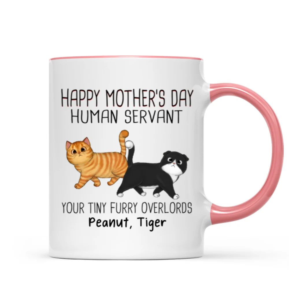 Walking Fluffy Cats Happy Mother‘s Day Cat Human Servant Personalized Mug - Image 9