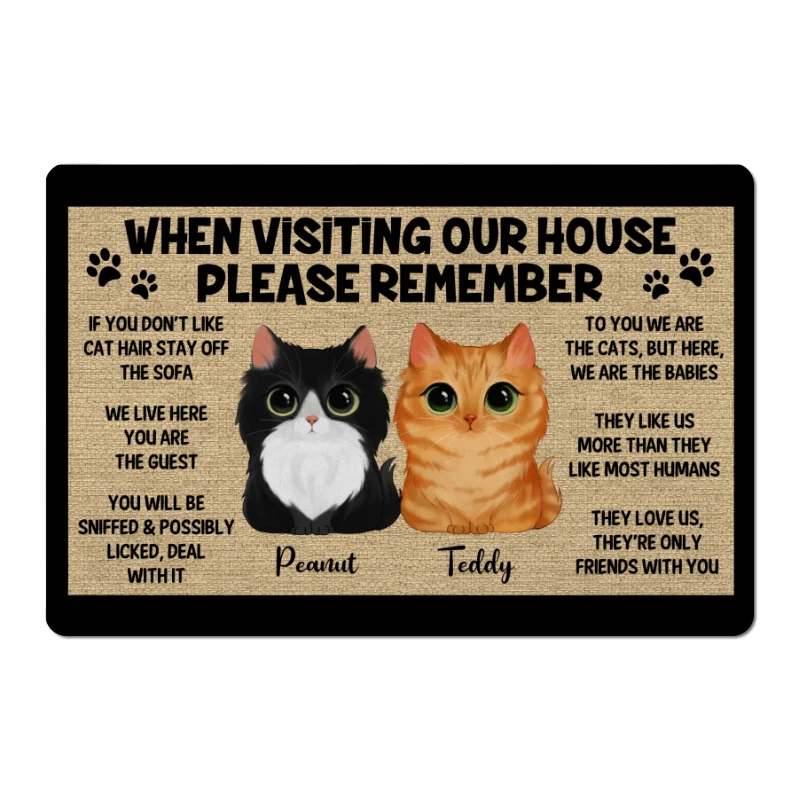 Watercolor Cute Cats Please Remember When Visiting House Personalized Doormat - Image 3
