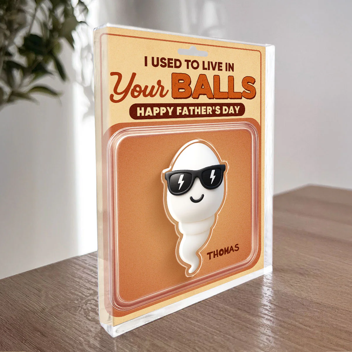 We Used To Live In Your Balls Toy Box Figures Style Personalized Acrylic Block Plaque, Funny gift for Dads - Image 8