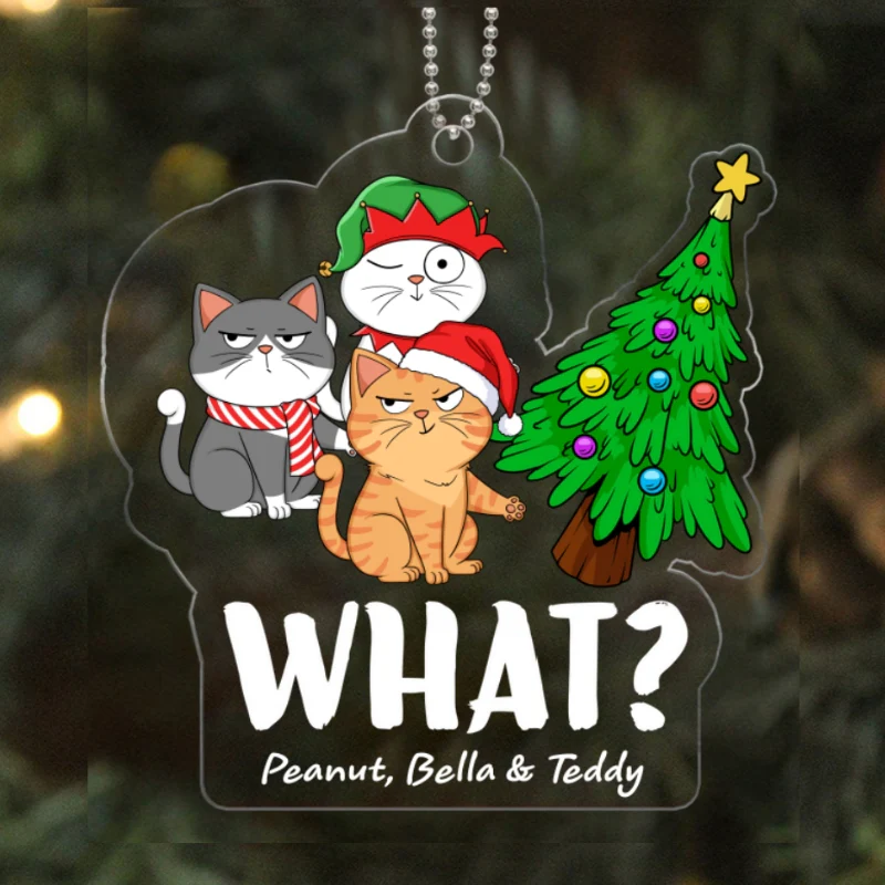 What Cats Funny Expressions Christmas Personalized Acrylic Ornament - Image 5