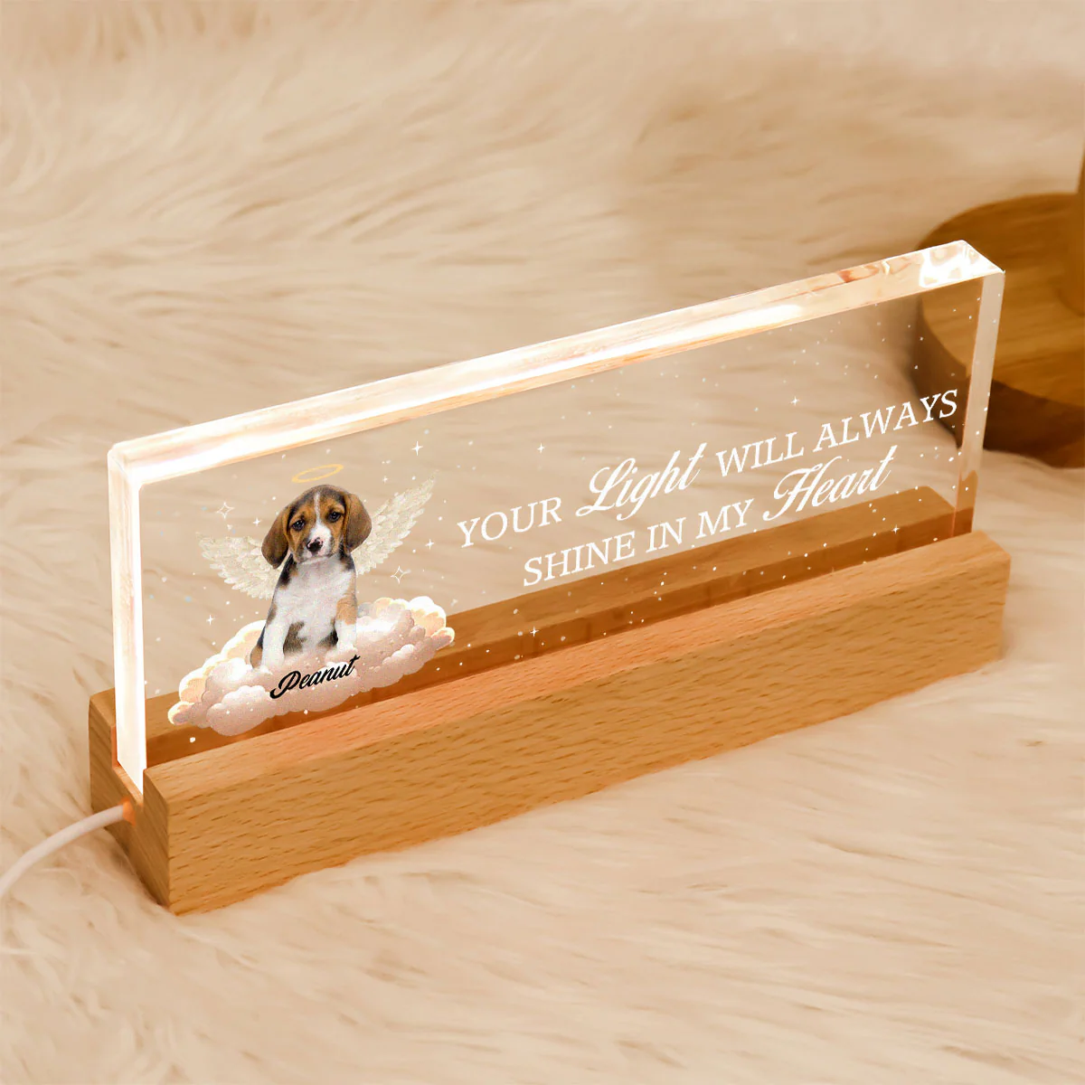Your Light Will Always Shine In My Heart Personalized Acrylic Block LED Night Light, Sympathy Gift For Pet Owners - Image 8